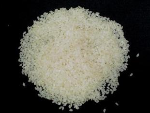 Gạo trắng xuất khẩu