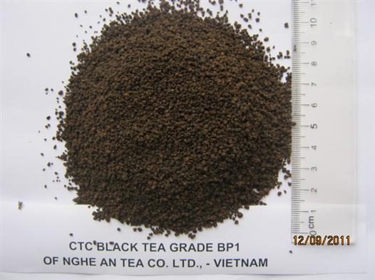 CTC Black tea Grade BP1